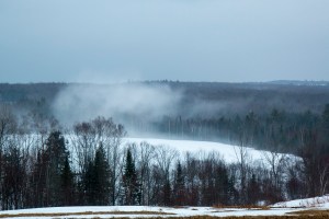 foggy hillside